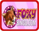 foxy bingo